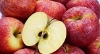 Picture of Apple